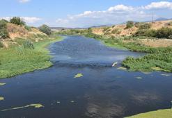 Gediz Nehri'nde kirlilik ve koku tedirginliği