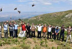 Salihli'de çekirgeyle mücadele için 250 kınalı keklik doğaya salındı