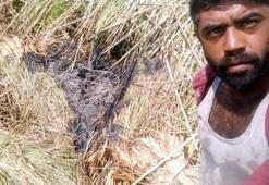 Sazlık yangını şüphelisi: Delil olması için bölgede selfie yaptım