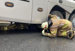 Otobüsün motor kısmında kaçak yolcu