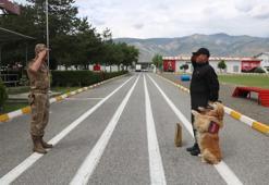 Arama kurtarma köpeği Bulut, yaş pasta kesilerek emekli edildi