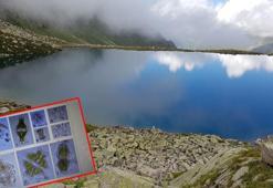 Kaçkarlar'da 48 'alg' türü tespit edildi