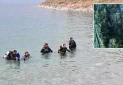 Eğitim dalışında Van Gölü küçük mercan balığını görüntülediler