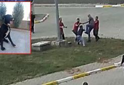 Dalaşan köpekleri ayırırken, 'Escobar'ı demir sopayla vurarak öldürdü