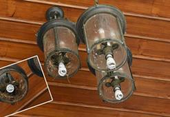 Valilik girişindeki kumru yuvasına, validen 'Sakın dokunmayın' talimatı