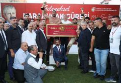 Karakucak Güreşleri'nde başpehlivan Fatih Kambur oldu