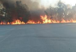 Sasalı Doğal Yaşam Parkı'nın yanındaki ormanda çıkan yangın kontrol altına alındı