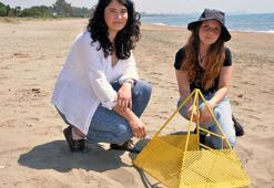 Mersin sahillerine yumurta bırakan caretta carettalar dronla takip ediliyor