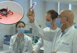 Türk bilim insanlarından Kırım Kongo’ya çare olabilecek araştırma