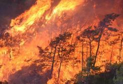 Wildfire in Marmaris: Teams are working around clock on 2nd day