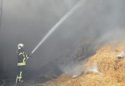 Manisa'da entegre tesiste çıkan yangında 350 ton saman küle döndü