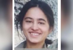 Siirt'te etkisiz hale getirilen 'Arin' kod adlı terörist, gri kategorideymiş