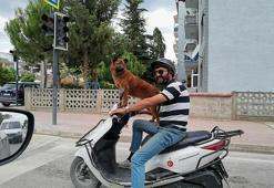 Motosiklette 'Kontes'li yolculuk