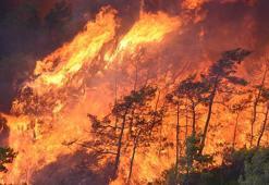 Orman Genel Müdürlüğü yangın söndürme çalışmalarından görüntüler paylaştı.