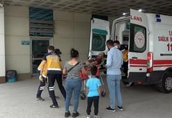 Arıların saldırısına uğradı, hastaneye kaldırıldı