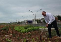 Karadeniz'e dolgu alan, hobi bahçesine dönüştü