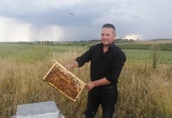 Sosyal medyadan çağrı yapınca çalınan 6 arı kovanı geri getirildi