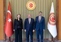 TBMM Başkanı Şentop: Kıbrıs davası, milli davadır