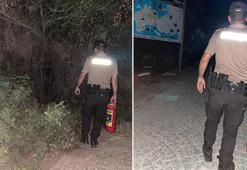 Bodrum'da ormanları devriye görevi yapan polis ve bekçiler koruyor