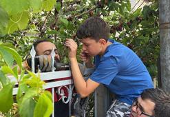 Dut toplamak isteyen Alperen'in eline korkuluk demiri saplandı