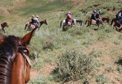'Berivan'ların at sırtında süt yolculuğu