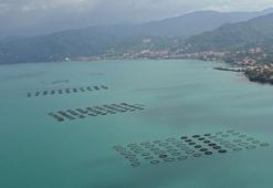 TÜDAV’dan 1 Temmuz Denizcilik ve Kabotaj Bayramı’nda önemli çağrı