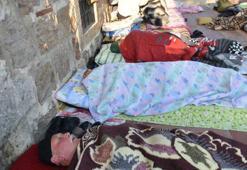 Edirne'de otellerde yer bulamayan güreşseverler, çadırlarda kaldı