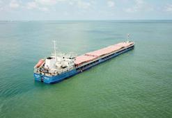 Rusya'nın tahıl yüklü gemisi, Karasu Limanı'nda