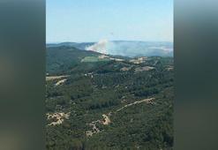 Çanakkale'de ormanlara giriş yasaklandı