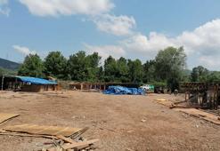 Selde 56 köpeğin öldüğü ruhsatsız barınak yıkıldı