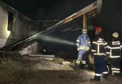 Kurbanlık hayvanların bulunduğu ahırda çıkan yangında 7 büyükbaş öldü