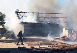 Kaldıkları konteyner ve boya deposu yandı, köpeği zarar görmemesi için saldı