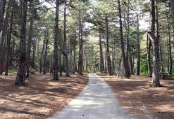 Eskişehir’de ormanlara giriş yasağı