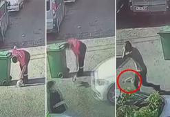 Ataşehir'de yavru köpeği otomobille ezen sürücü, yoluna devam etti