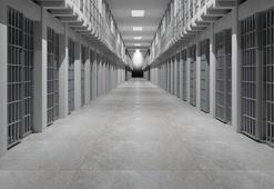 Kurban Bayramı'nda cezaevlerinde açık görüş yapılacak