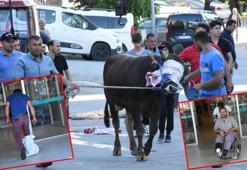 Acemi kasaplar hastanelere akın etti