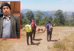 34 gündür haber alınamayan yaşlı adam yaylada ölü bulundu