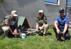 Emniyetin sahip çıktığı kedi ve yavruları, maskot oldu