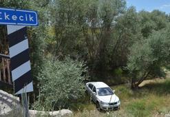 Sürücüsünü arı sokan otomobil şarampole düştü: 4 yaralı