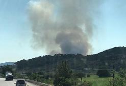 İzmir'deki yangında 10 hektar makilik zarar gördü