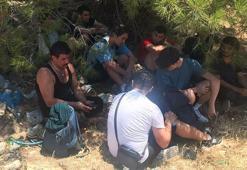 İzmir'de 143 göçmen yakalandı
