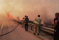 Çeşme'de makilik yangını; 7 gözaltı