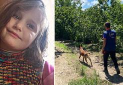 Samsun'da otizmli Emine, 7 gündür kayıp