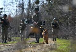 İçişleri: Bitlis'te 2 terörist etkisiz hale getirildi