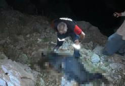 Kayıp çobanın cesedi bulundu