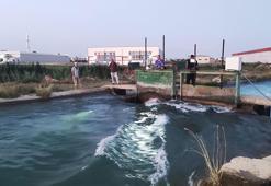 Adana'da, serinlemek için girdiği sulama kanalında kayboldu