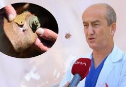 Prof. Dr. Sebe: Keneyi Japon yapıştırıcısıyla çıkarmaya çalışanlar var