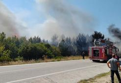 Çanakkale'de Anzak Koyu'nda yangın; alevler ormana da sıçradı
