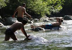 Yüksekova'da sıcaktan bunalanlar Avaşin Deresi'nde serinledi