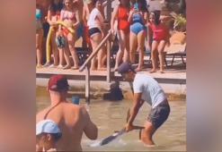 Akdeniz zarganasını tokatla sersemletip kuyruğundan yakaladı